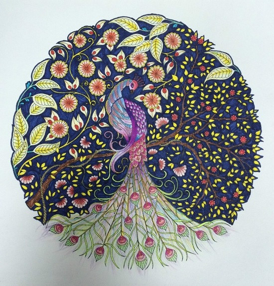 秘密花园图册_360百科