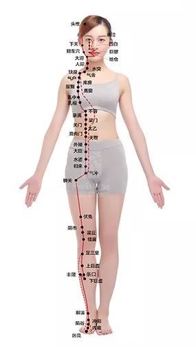 胃经图册_360百科