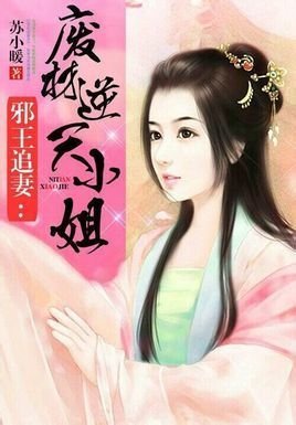 邪王追妻:废材逆天小姐图册_360百科