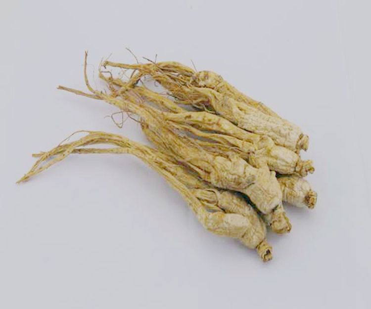 汉中西洋参图册_360百科