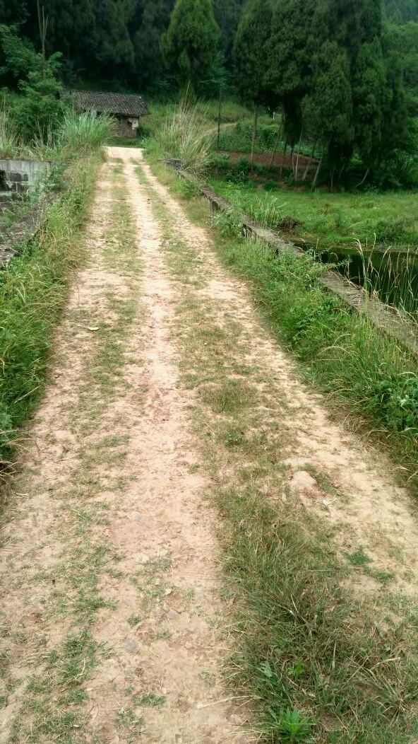 山尾村图册_360百科