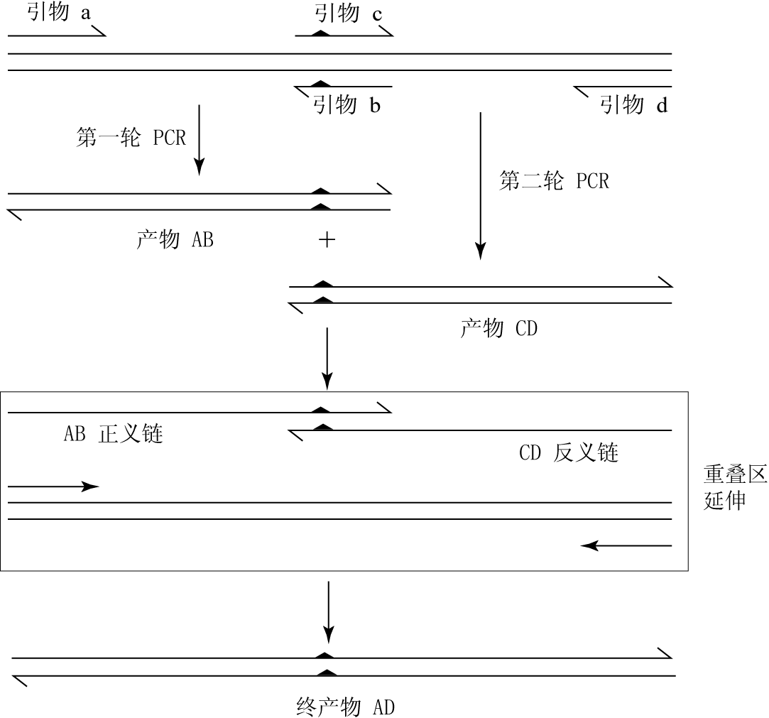 SOE图册_360百科
