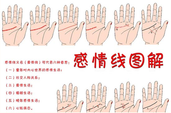 教你如何轻松看懂手相_360新知