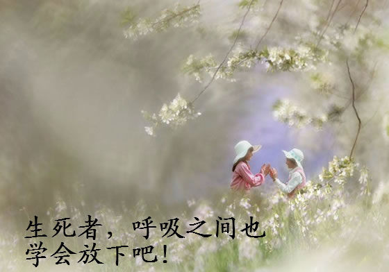 佛家禅语图册_360百科