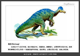 盔龙图册_360百科