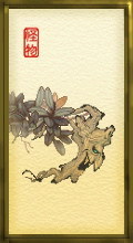 树精图册_360百科