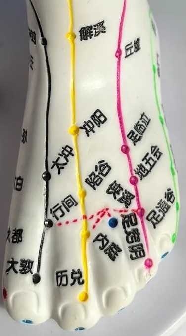 胃经图册_360百科