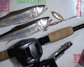 底钓图册_360百科