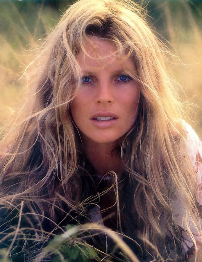 金·贝辛格图册