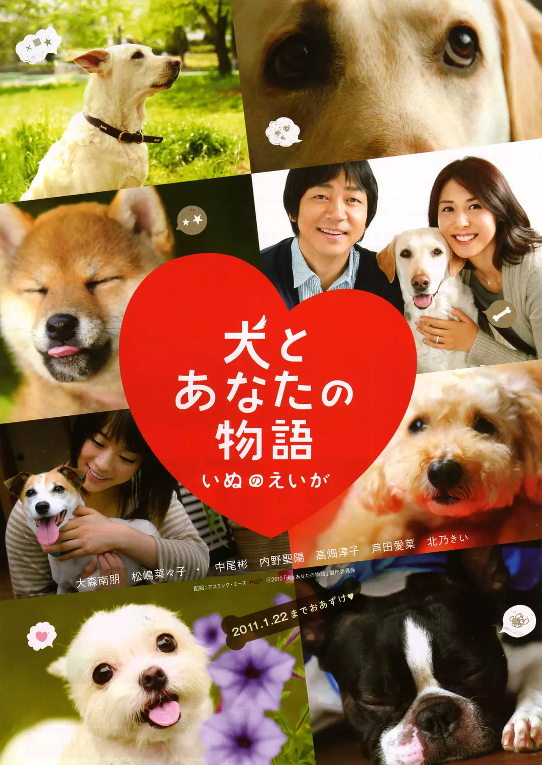 狗狗与你的故事
