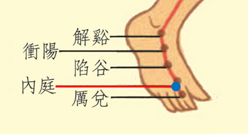 胃经图册_360百科
