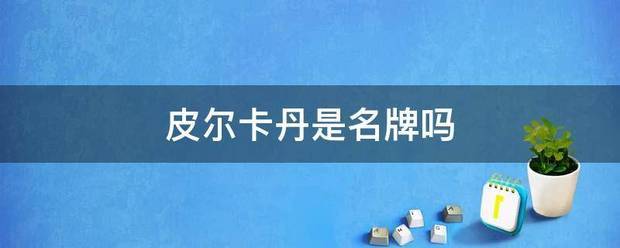 皮尔卡丹是名牌来自吗