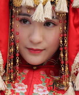 谁偷了我的侉子