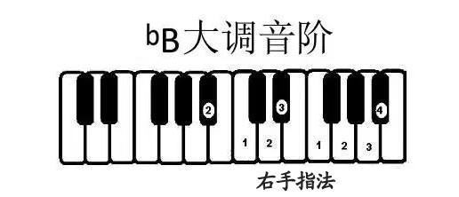 手风琴降b调在什么位置?