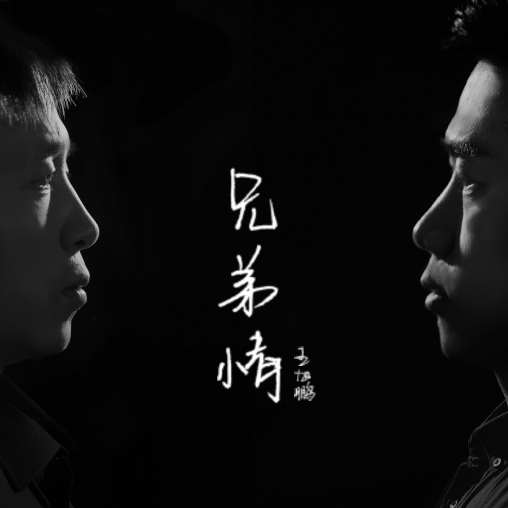 兄弟情图册_360百科