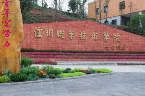 泸州泸职院是什么学校