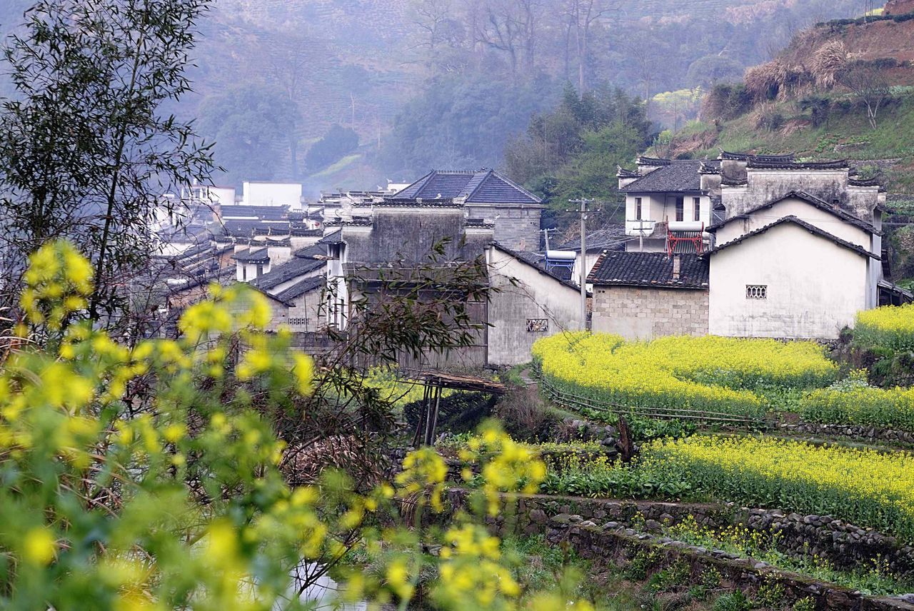 农村图册_360百科