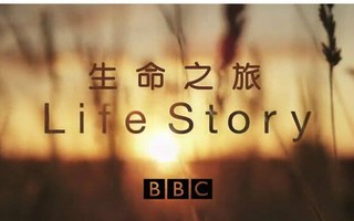 生命之旅图册_360百科