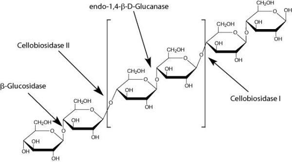 AI赋能生物制造的产业化落地：香兰素一年从零起步量产百吨级、辣椒每亩增产近3成