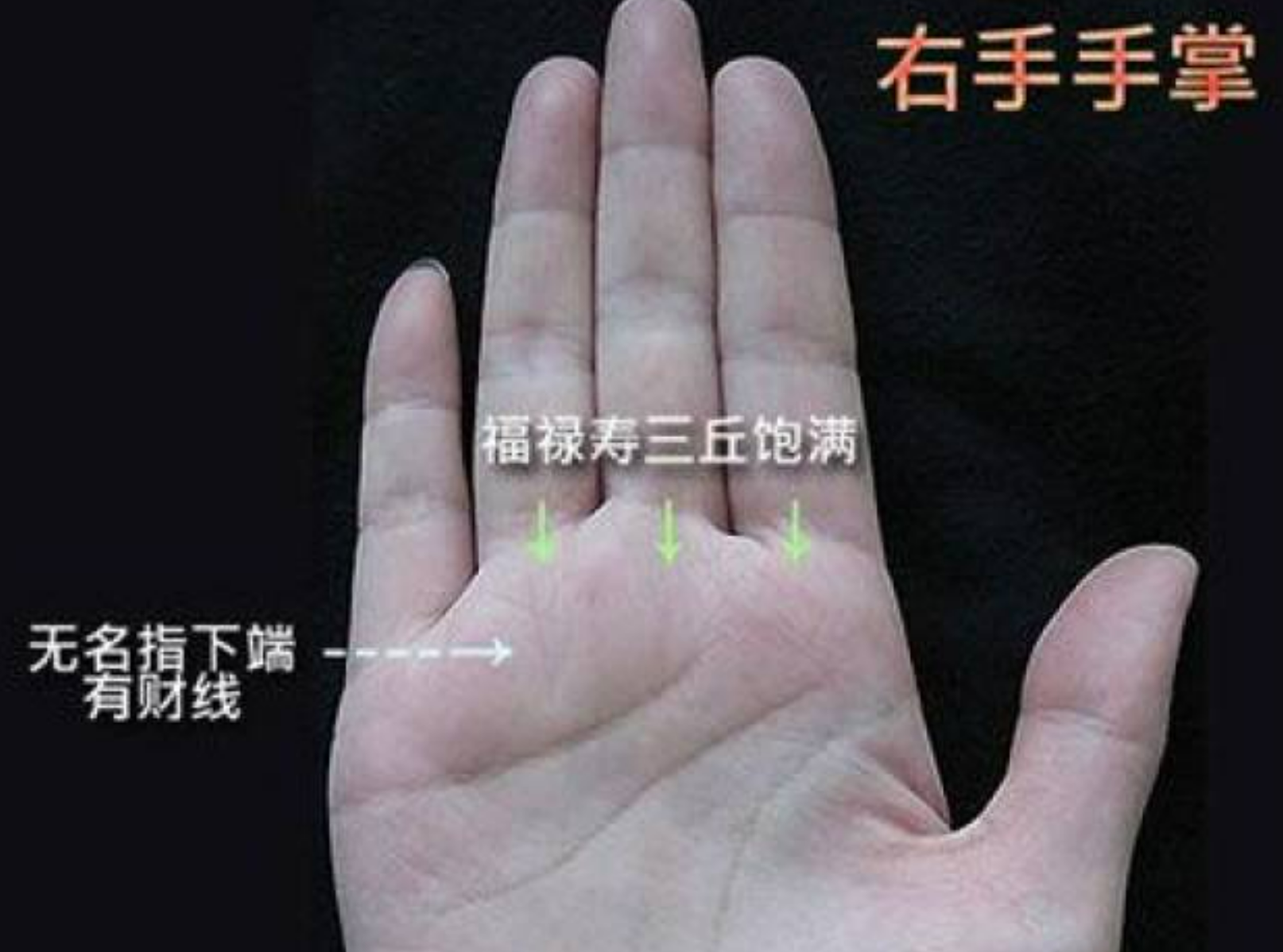川字掌图册_360百科
