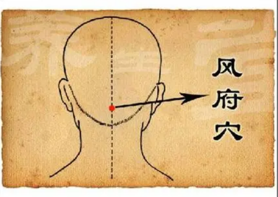 风府穴图册_360百科