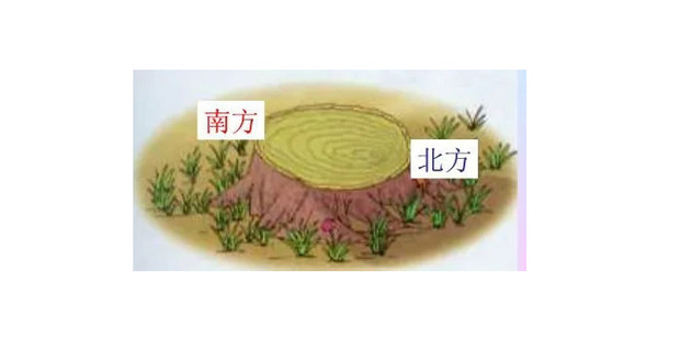 如何看待杭州钱塘新区功能区转为行政区最终定名钱塘区