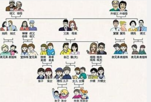 血缘关系图册_360百科