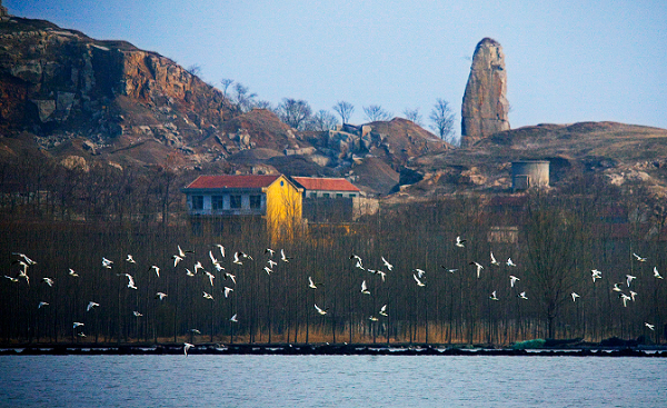 独山岛图册_360百科
