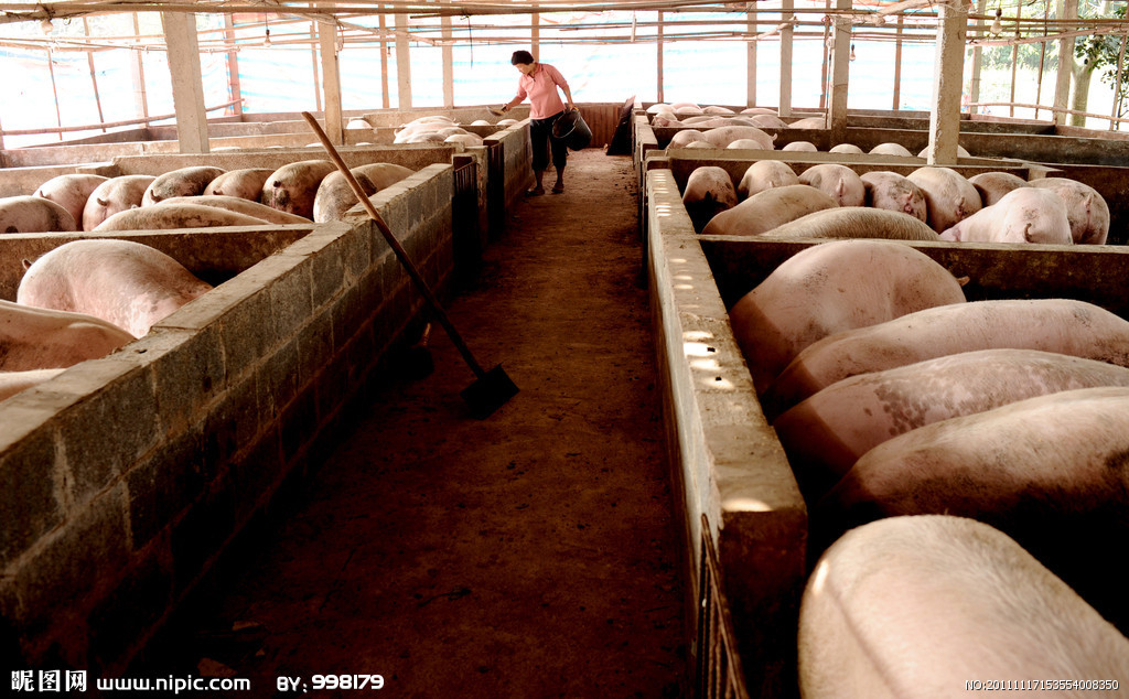 养猪场图册_360百科