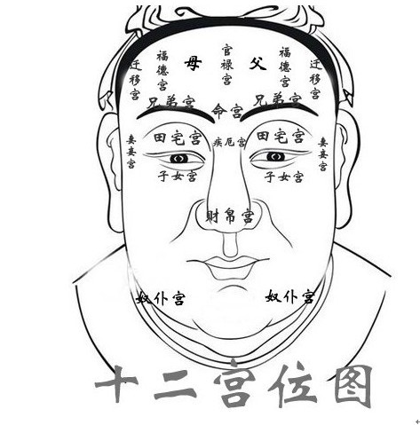 天庭饱满图册_360百科