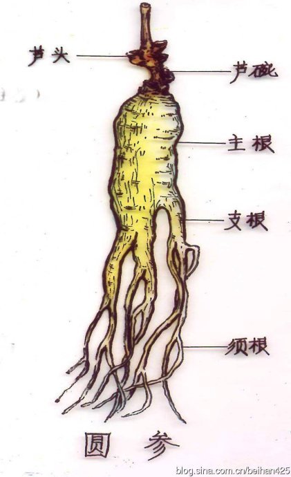邻里月台