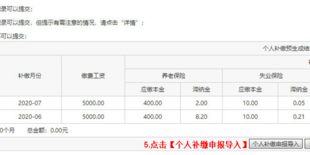 如何进行社保补缴(单位申报个人补缴)操作_360新知