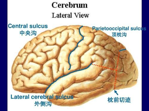 枕顶沟图册_360百科