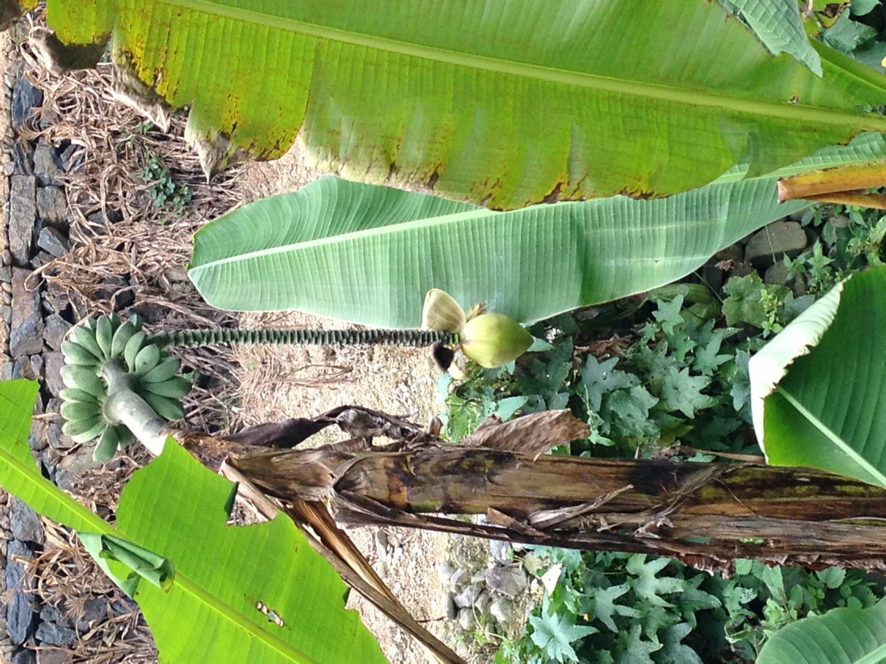 塔山村图册_360百科