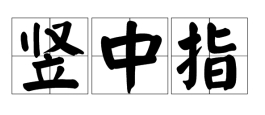 竖中指图册_360百科