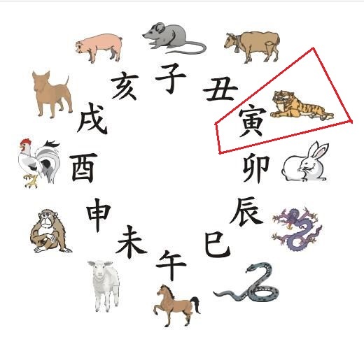 寅时图册_360百科