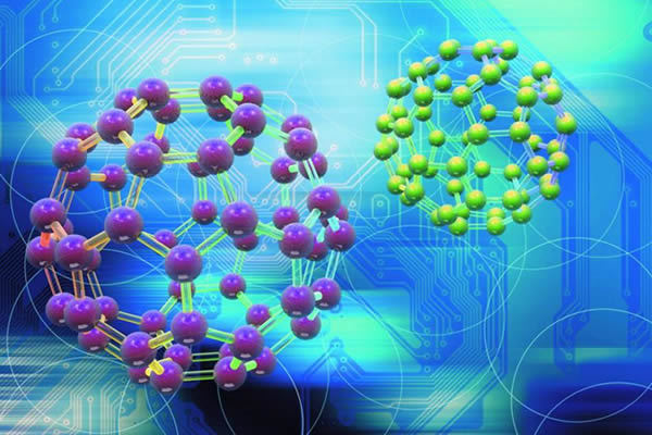 Earthworm peptide cellular protection | Shaanxi BLOOM Tech Co., Ltd