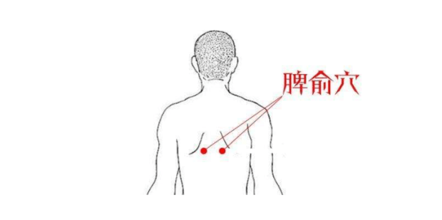 脾俞穴位位置图和作用_360新知