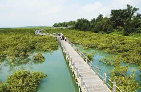 北海金海湾红树林景区_360百科