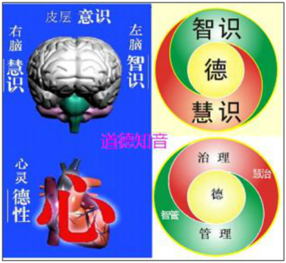 智识图册_360百科