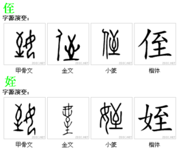 侄图册_360百科