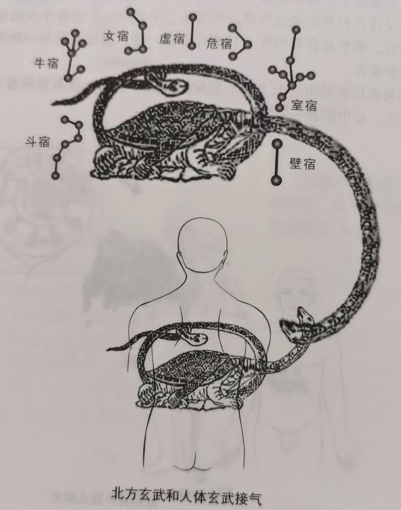 足阳明胃经(人体第三经)_360百科