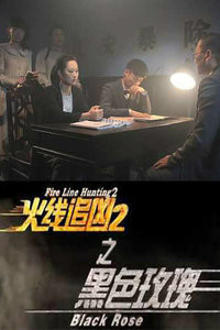 《火线追凶下载体验分享》：玩家的真实感受与心得交流 (《火线追凶》)