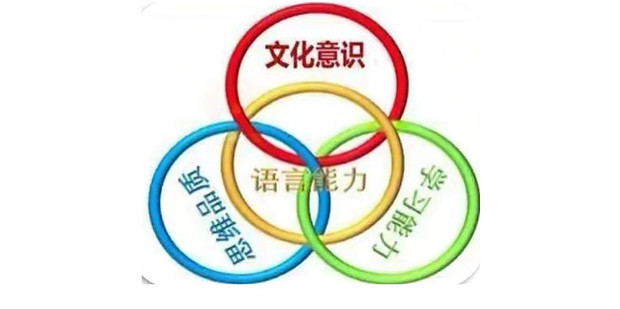 核心球员与角色定位全面盘点