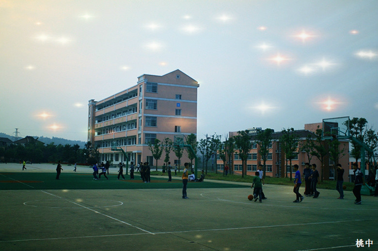 广德县桃州中学图册_360百科
