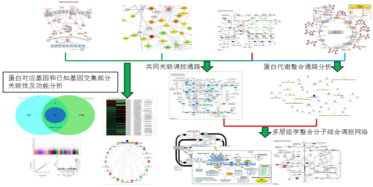 多层组学整合图册_360百科