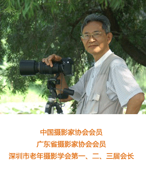 张之先图册_360百科