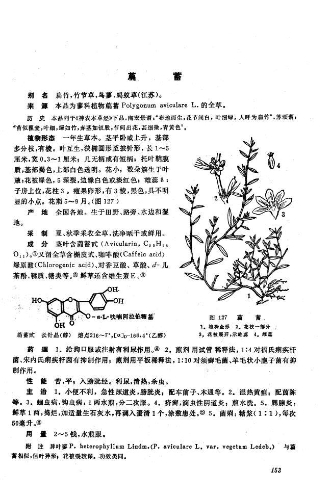 扁蓄组图册_360百科