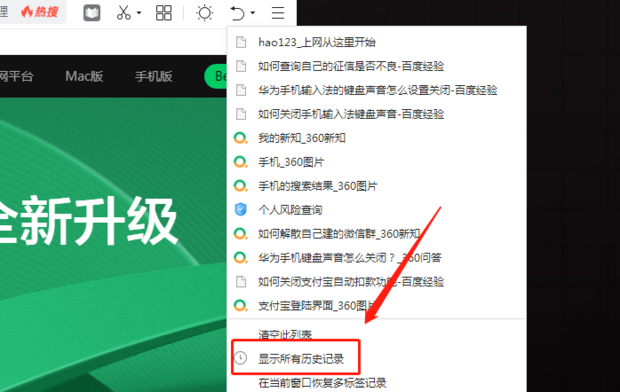 如何查看浏览器历史浏览记录_360新知