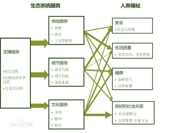 服务器价值评估与回收价格一览 (服务器价值评估)-虎跃云资讯网